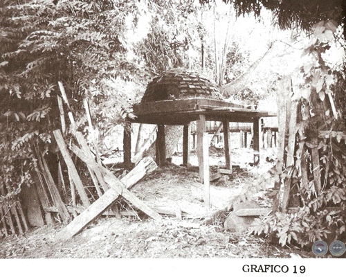 EL VALLE Y LA LOMA & CULTURAS DE LA SELVA, 1995 - POR RAMIRO DOMÍNGUEZ